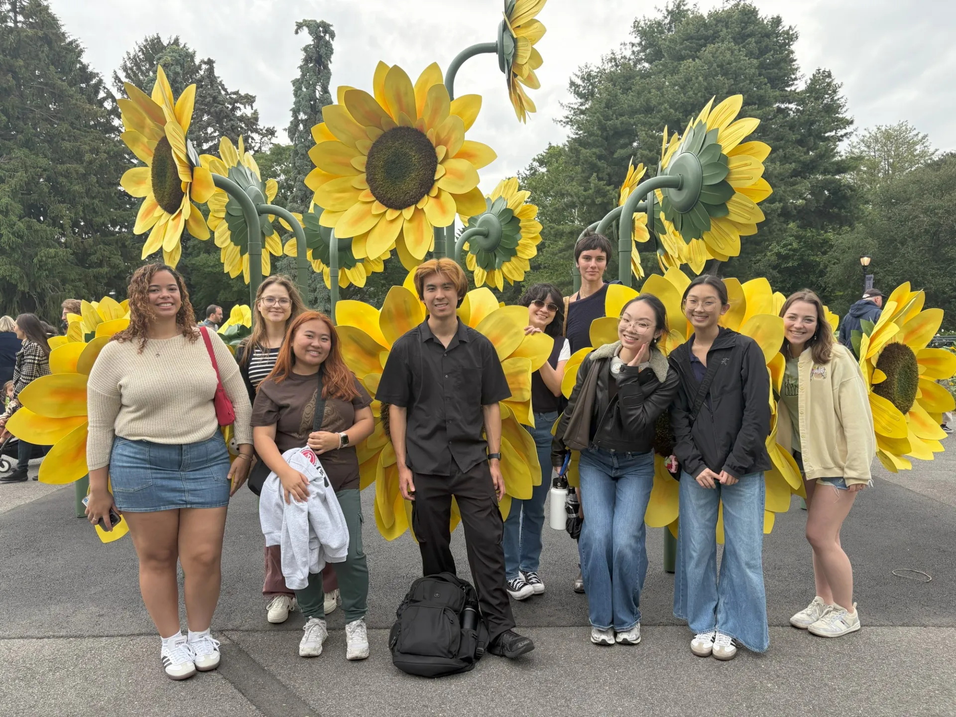 Sunflowers at Botanical Garden