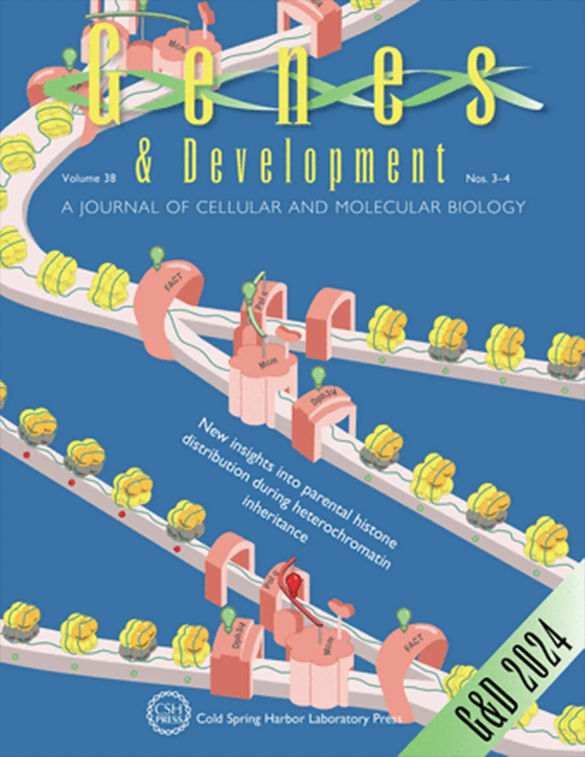Genes & Development magazine featuring an image from the Jia lab. 