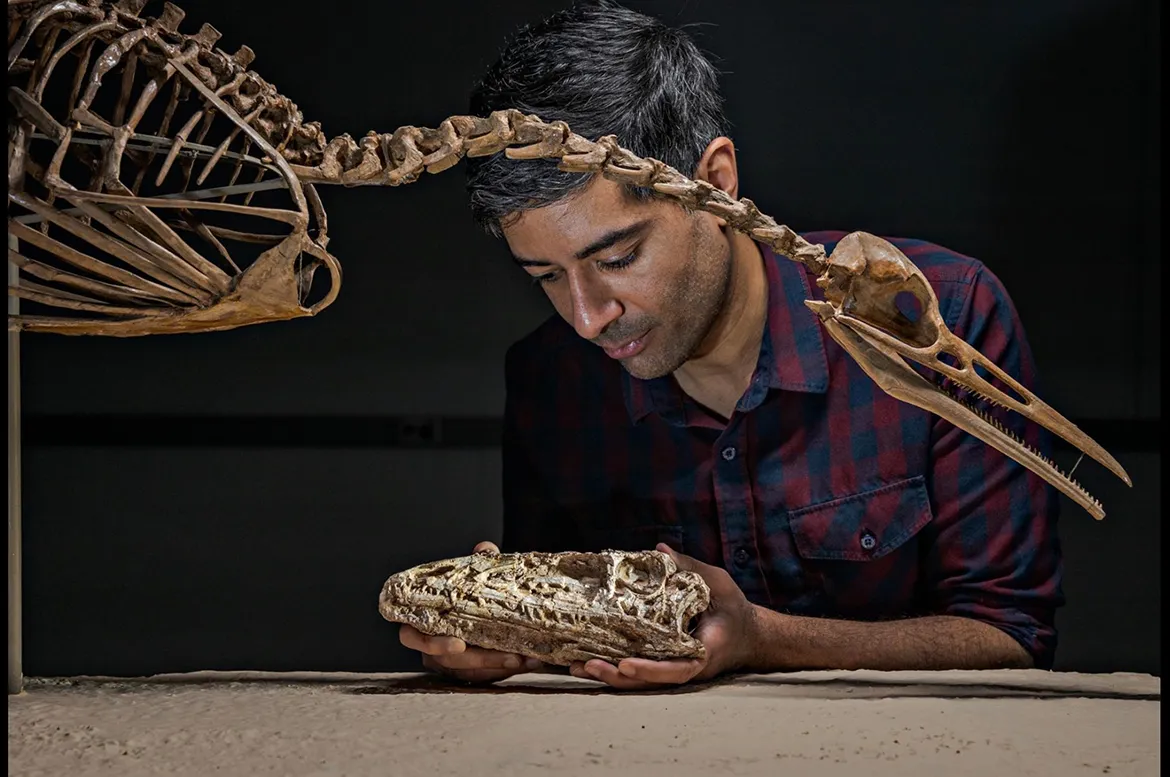 Dr. Anjan Bhullar is pictured holding a bird skull