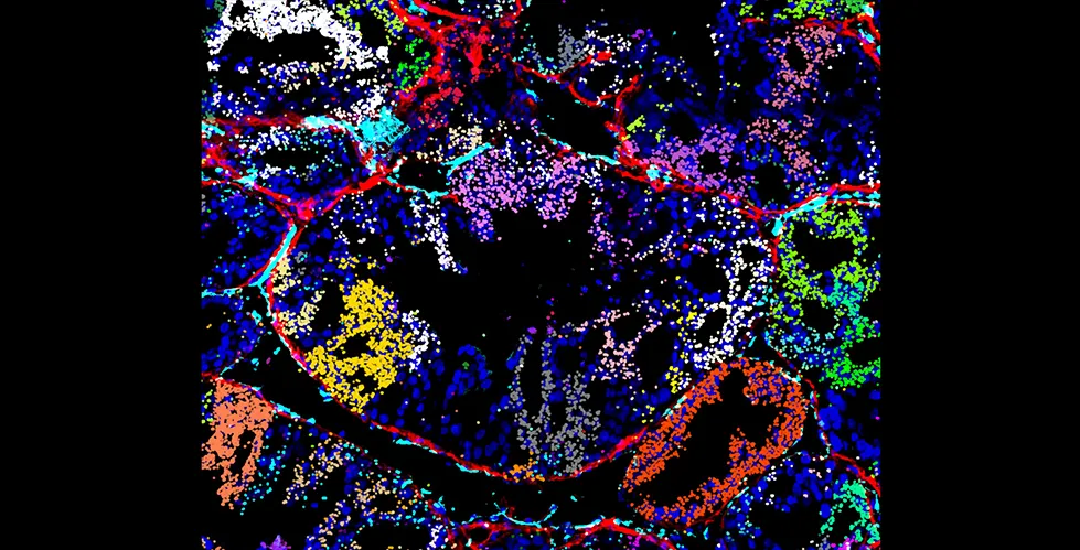 Nature Biotechnology Main Illustration