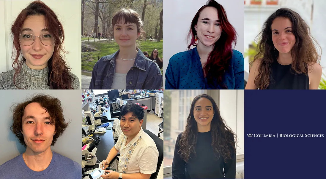 the NSF winners for 2024 are pictured