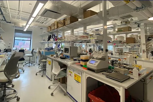 empty lab