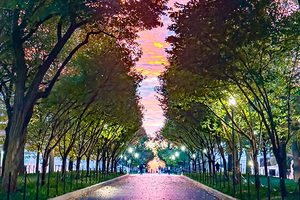 sunset on college walk