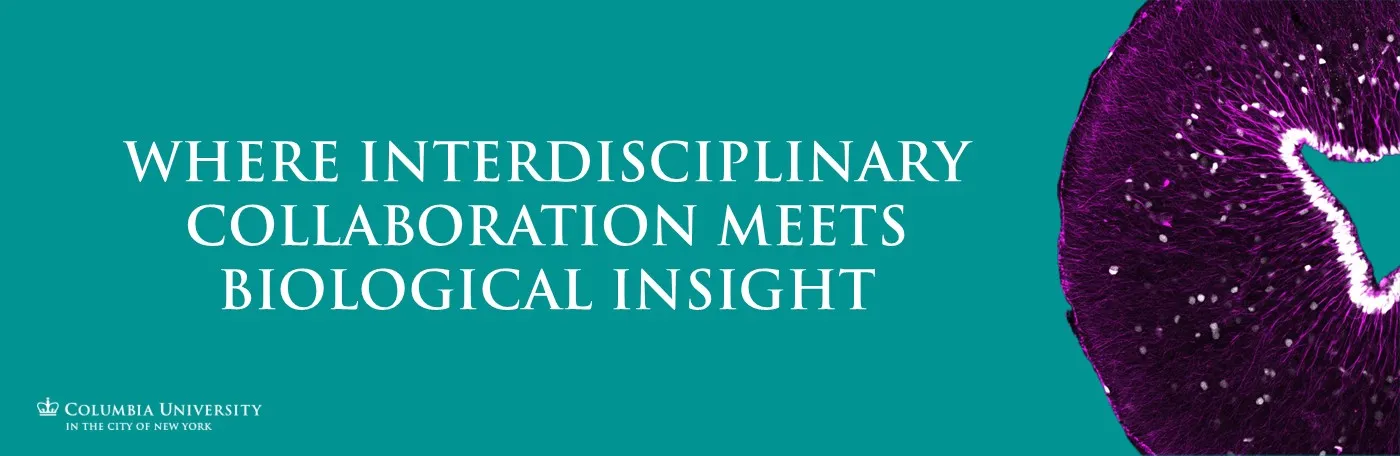 Where interdisciplinary collaboration meets biological insight