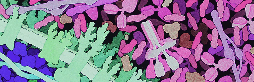 painting of a microscopic image of cells
