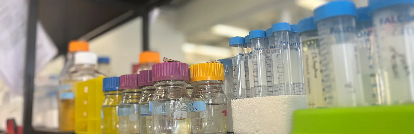 bottles in laboratory