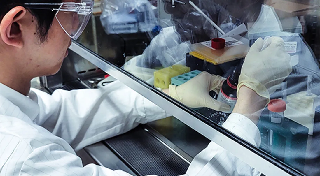 Student performs research safely under lab hood