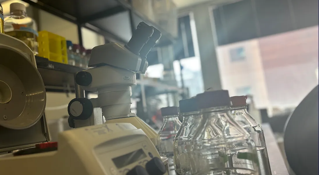 a microscope in the Dietrich lab is pictured