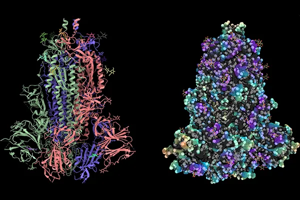 protein structure pictured