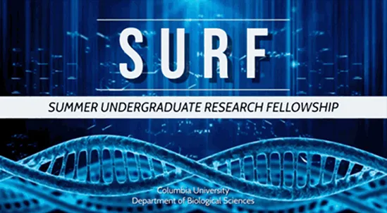SURF logo