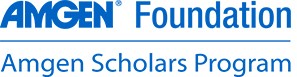 Amgen Foundation Amgen Scholars Program Logo