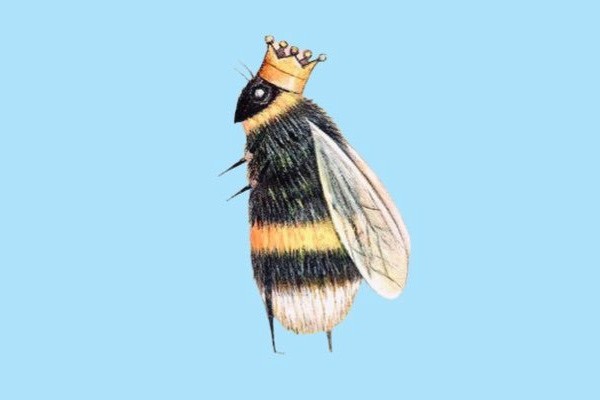a bee wearing a crown on a blue background