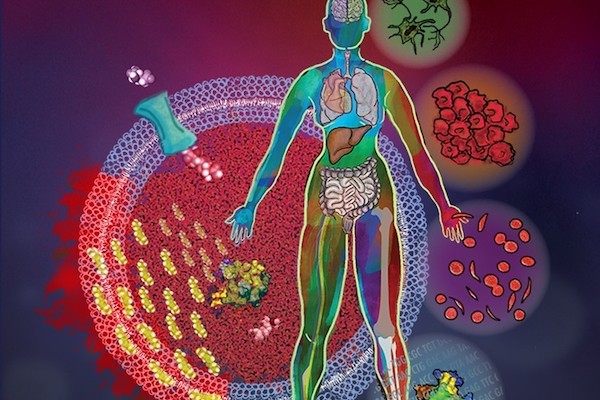 image depicting Cancer Biology 