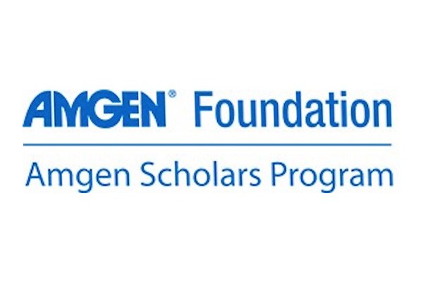 amgen foundation