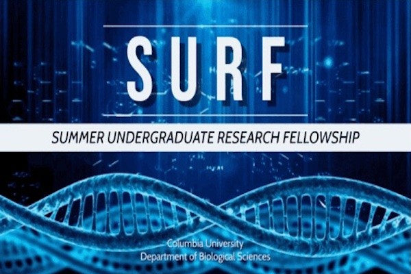 a blue double helix with the the words SURF undergraduate research fellowship written above it 
