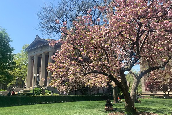 A tree with pink blossoms in front of a building on campus