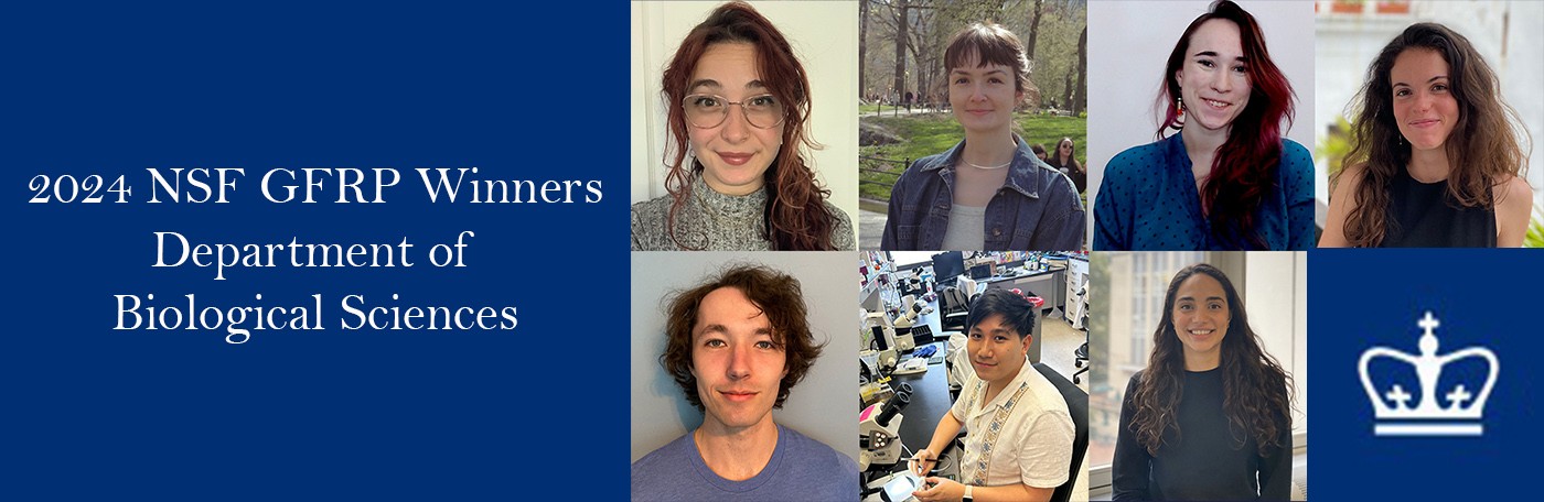 2024 NSF GFRP winners are pictured 