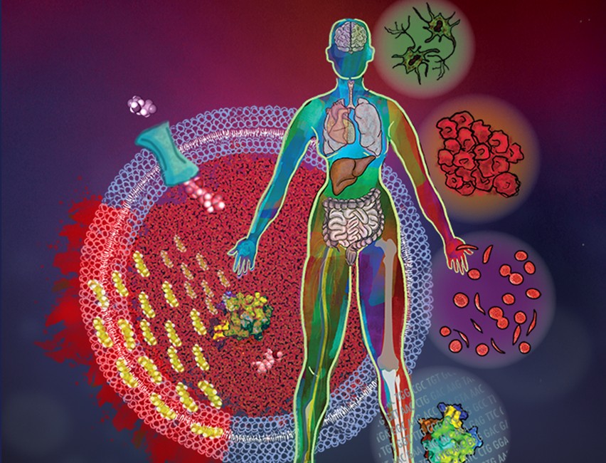 A silhouette of a human body stands in front of images of cells, proteins, and structures. 